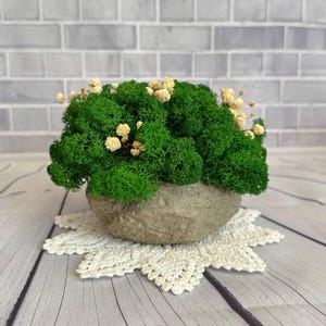 Preserved Moss Arrangement in Stone-Look Pot, Handmade Moss Home Decor, Natural Green Table Centerpiece