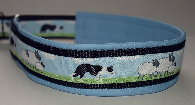 Jacquard Ribbon Border Collie 11/16 image 2