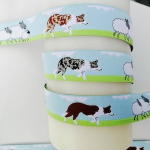 Webband Border Collie,  merle und braun, Hundeborte, DIY Hundehalsband, Hundeleine