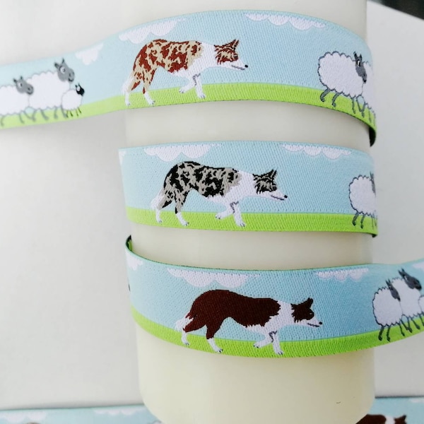 Webband Border Collie,  merle und braun, Hundeborte, DIY Hundehalsband, Hundeleine