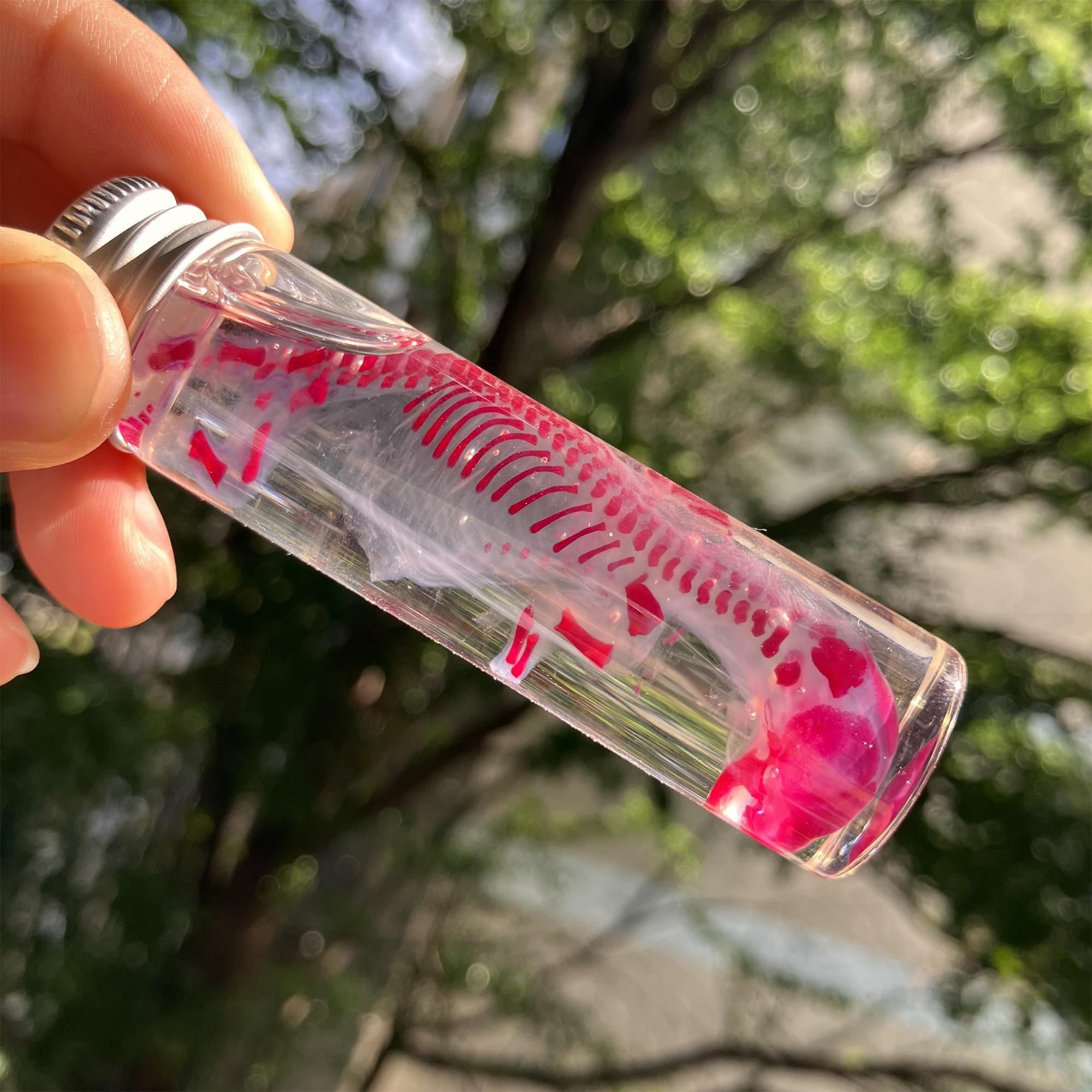 Red Stained Mink Skeleton Specimen, Farmed Baby Mink Wet Display Vial ...