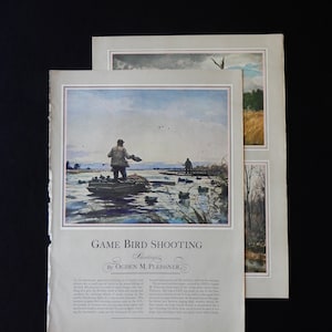 Game Bird Shooting, paintings by Ogden M Pleissner, from Life magazine of 10/7/46, American watercolorist, WWII vet, pages are 10.25" X 14"