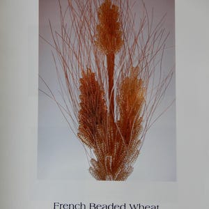 May include: A decorative arrangement of three stalks of wheat crafted from amber-colored beads and thin wire. The text below the image reads: French Beaded Wheat By Donna DeAngelis Dickt. The wheat stalks feature textured, beaded heads.