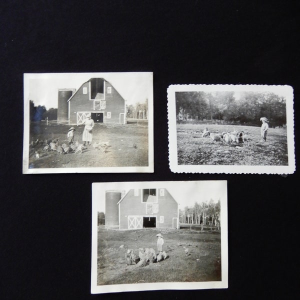 Chicken Little, boy with hands in pockets, hat on head, watching chickens, 1940's, Minnesota, approximately 3" X 4", a lack of enthusiasm