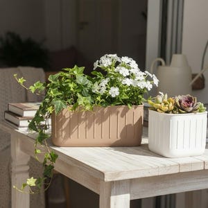 Peut inclure: Une jardinière rectangulaire beige contenant du lierre vert et des fleurs blanches, à côté d'un pot carré blanc contenant un groupe de petites plantes succulentes. Les deux pots présentent une texture nervurée verticale.
