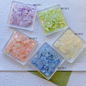 1Set Nail Art Shell Pieces Nail Art Decoration BJ120