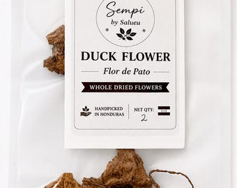 Duck Flower (Flor de Pato) | Aristolochia grandiflora | 2 Whole Dried Flowers | Wildcrafted Honduras