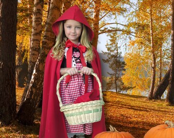 Little Red Riding Hood, Little Girl Halloween Costume, Childrens Halloween Costume, Toddler Handmade Costume, Halloween Costume for Toddlers