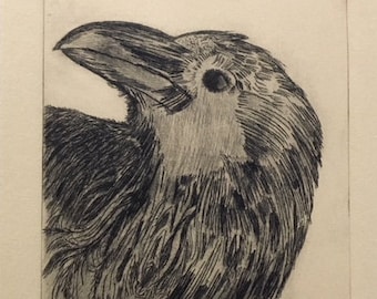 Corax - Limited Edition Drypoint Print