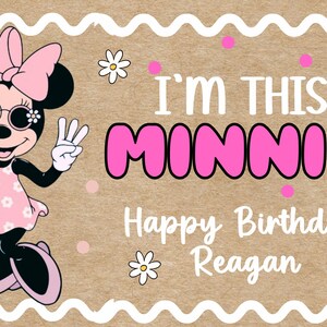 Hand-Painted Minnie Mouse Birthday Banner, Personalized Girls Party Decor bild 3
