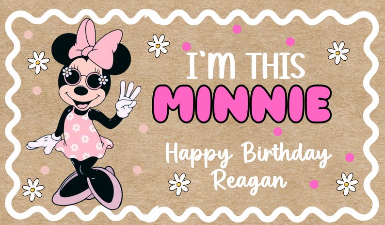Hand-Painted Minnie Mouse Birthday Banner, Personalized Girls Party Decor bild 3
