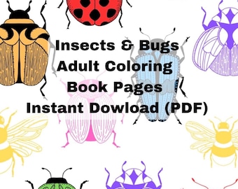 Butterfly, Ladybug, Dragonfly, Bumble Bee, and Beetles Coloring Pages ( sheets) Digtal Download (PDF)