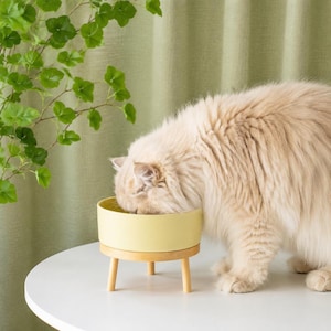 May include: A long-haired cream-colored cat eating from a round, pale yellow ceramic bowl. The bowl is supported by a light-toned wooden stand featuring three short, cylindrical legs, providing a slightly elevated position for the pet while feeding.