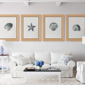 May include: A set of four framed wall art prints featuring individual illustrations of a dark blue oyster shell, a starfish, a fan-shaped scallop shell, and a spiral seashell, each centered on a white background within light wood frames.
