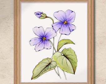Violets Flowers Art Print - Botanical Wall Art