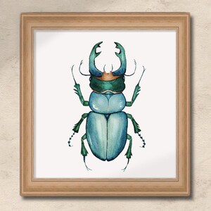 May include: A square framed wall art piece featuring a watercolor illustration of a stag beetle. The beetle is rendered in shades of blue and green with prominent mandibles, set against a plain white background within a light wood frame.