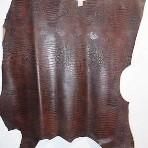 May include: A large, irregular piece of dark brown leather featuring a textured, embossed pattern that mimics the appearance of crocodile skin. The hide has natural, uneven edges and is displayed in a vertical orientation with a glossy finish.