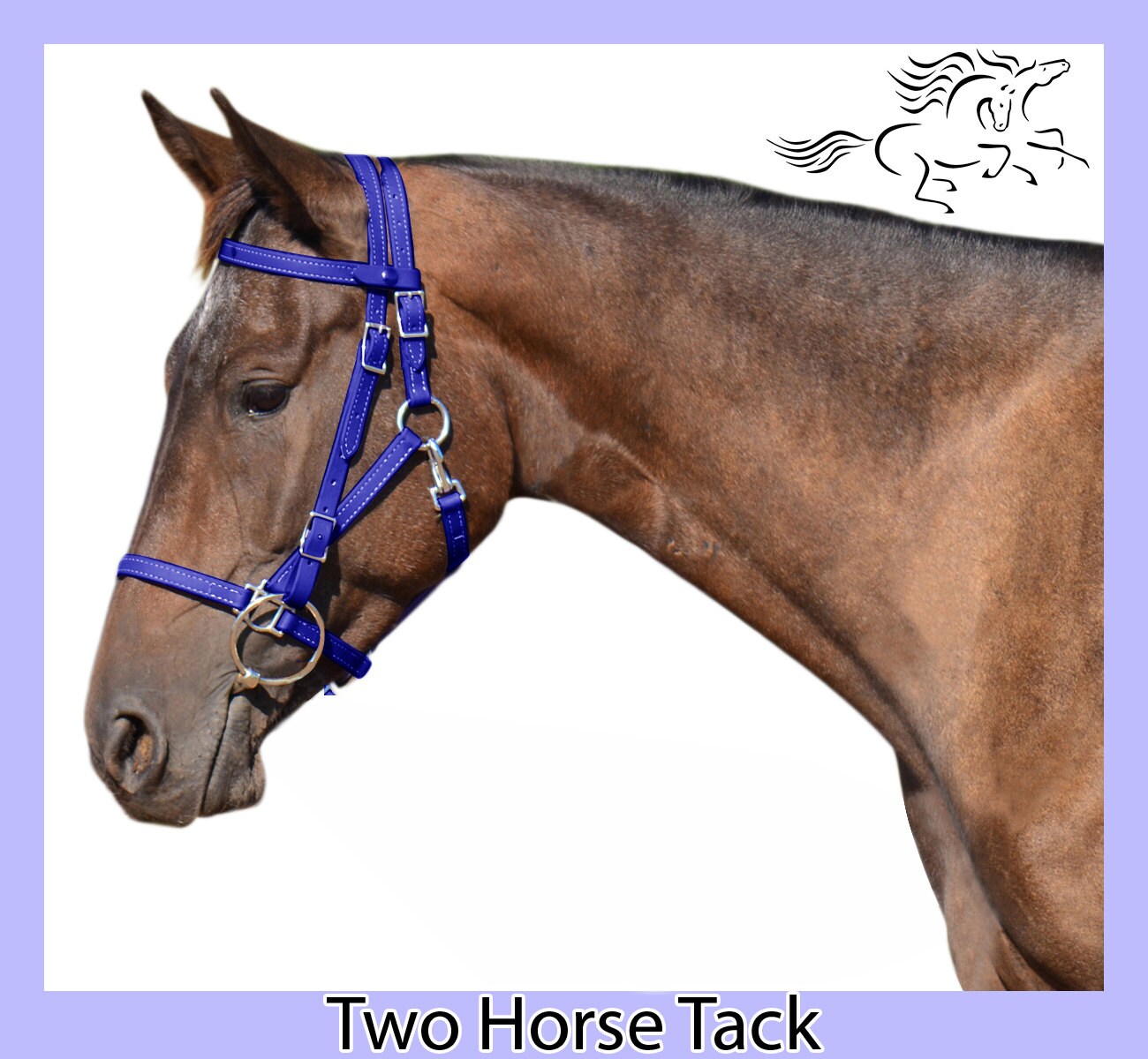 Cob Sizehalter BRIDLE Quick Change Style Made From Beta Etsy
