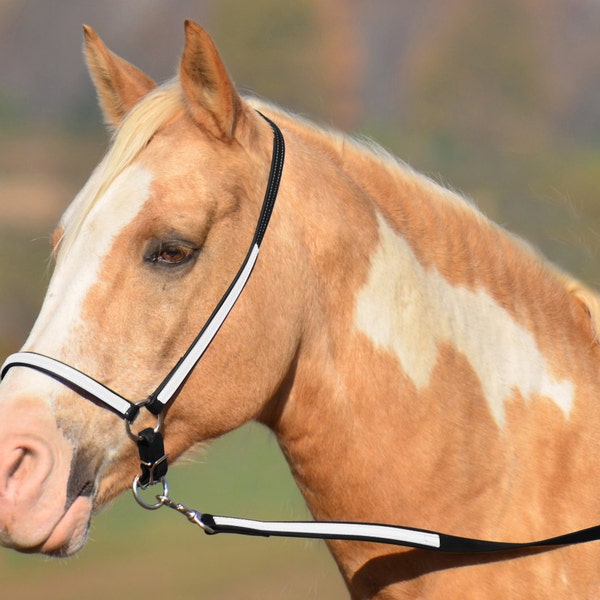 Warmblood Size** HALTER AND LEAD, Beta Grooming Halter, Two Colors