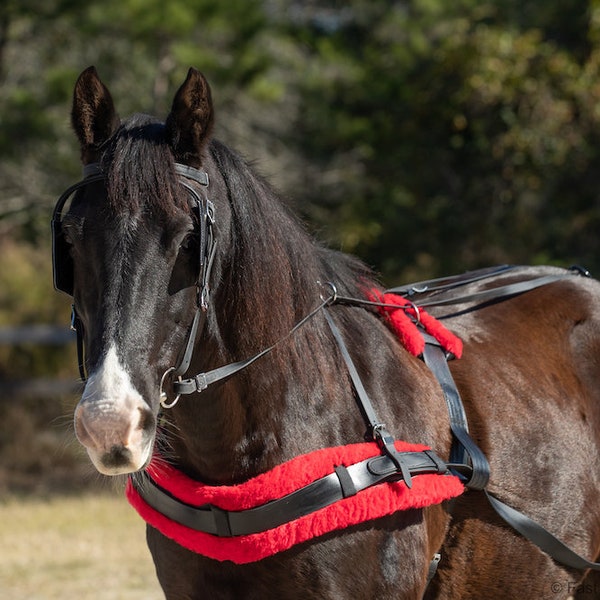LARGE PONY Size Beginner HARNESS made from Beta Biothane