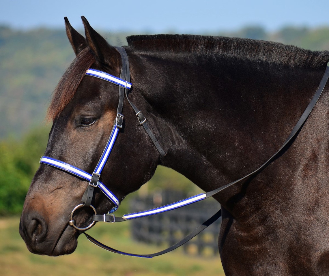 Draft Horse Sizeenglish BRIDLE & REINS Reflective Dayglo Etsy UK