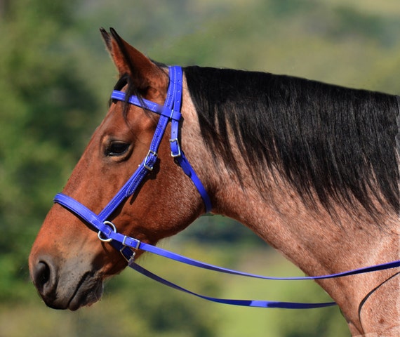2 In 1 Bitless Bridle Made From Beta Biothane Solid Colored Etsy