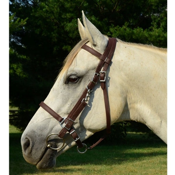 Warmblood Size**HALTER BRIDLE & REINS, Leather with Bit Hangers