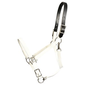 Horse size- READY MADE - White turnout HALTER Made from Beta Biothane