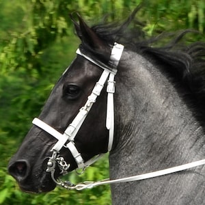 Arab Size**HALTER BRIDLE & REINS with Bit Hangers made from Beta Biothane (Solid Colored)
