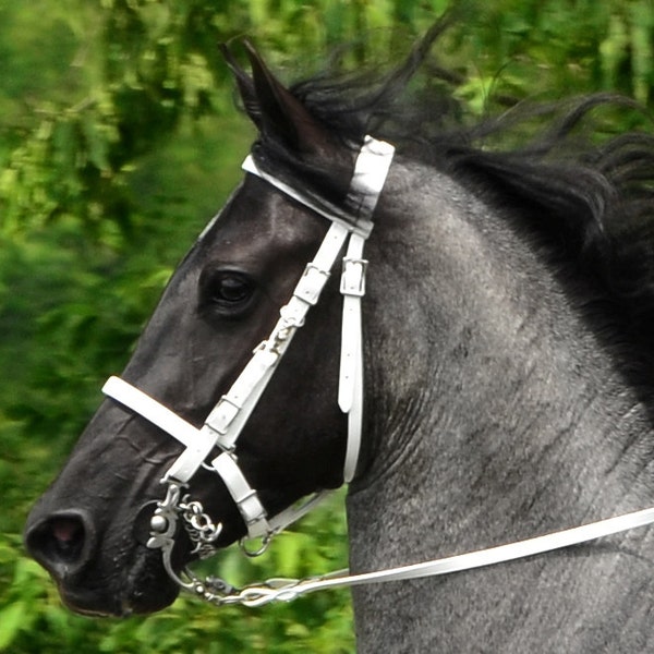 Warmblood Size**HALTER BRIDLE & REINS with Bit Hangers made from Beta Biothane (Solid Colored)