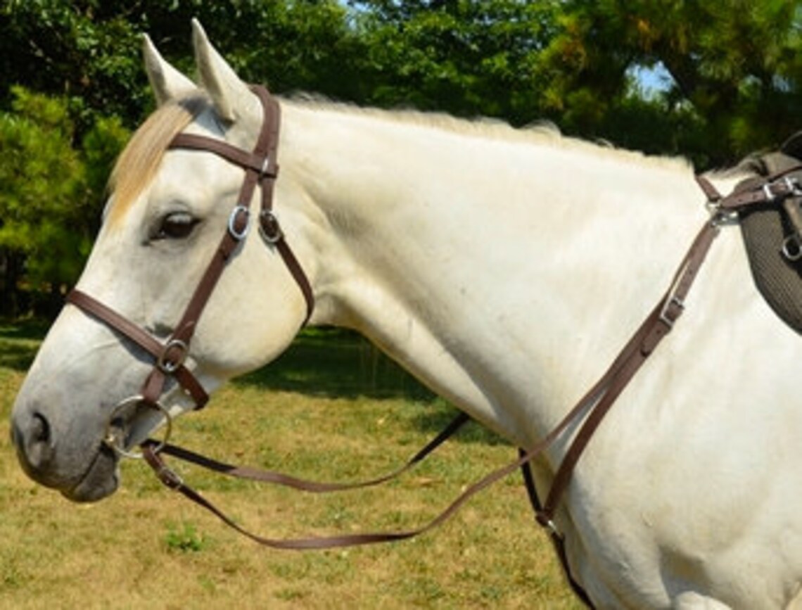 Draft Horse SizeENGLISH BRIDLE & REINS made from Leather Etsy