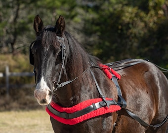 MEDUIM PONY Size Beginner HARNESS made from Beta Biothane