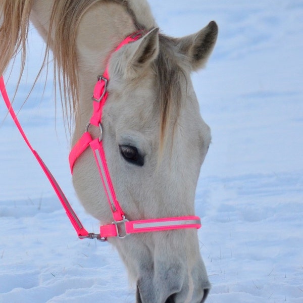 Warmblood Size** HALTER & LEAD Reflective Day-Glo Beta Biothane Turnout