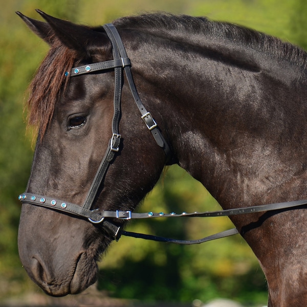 Draft Size**BITLESS BRIDLE & REINS**2-in-1 Style, Bling