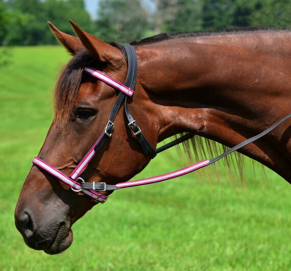 Mini Horse Sizebitless Bridle Reins2 In 1 Style Etsy