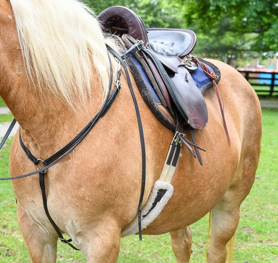 Horse Size READY MADE Black ENGLISH Breast Collar Made From Etsy