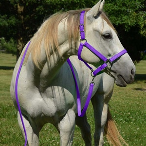 SUNFLOWER YELLOW Turnout HALTER & LEAD made from BETA BIOTHANE