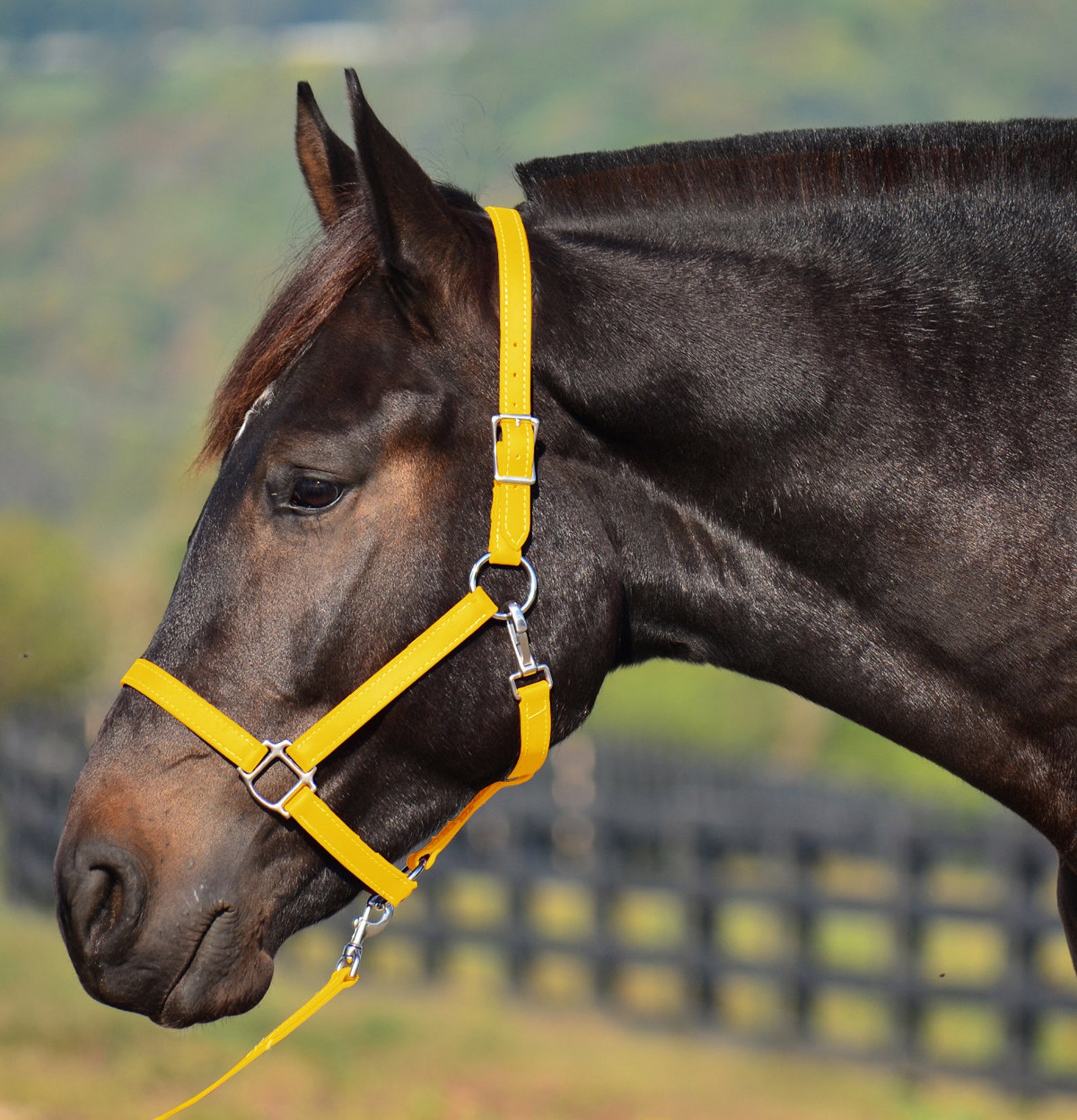 Draft Horse Size HALTER & LEAD Beta Biothane Turnout Etsy