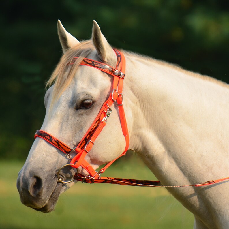 Horse SizeHALTER BRIDLE & REINS with Bit Hangers and Etsy