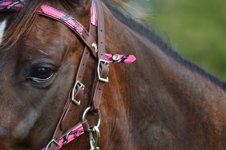 Draft Horse Sizehalter BRIDLE & REINS Quick Change Style Etsy