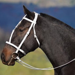 MEDIEVAL Baroque War or Parade BRIDLE made from Beta Biothane (Solid Colored)