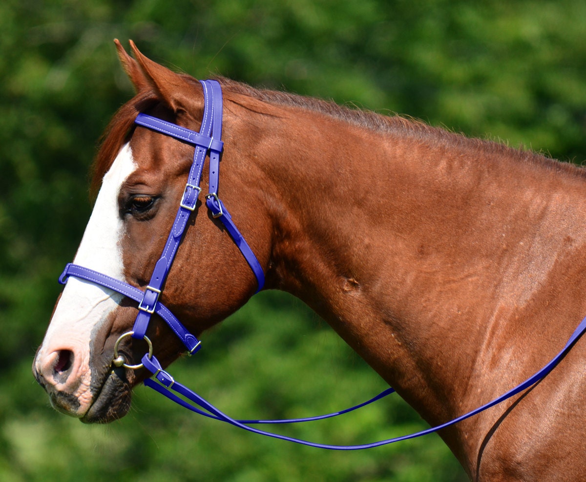 Draft Horse Bits for sale 83 ads for used Draft Horse Bits