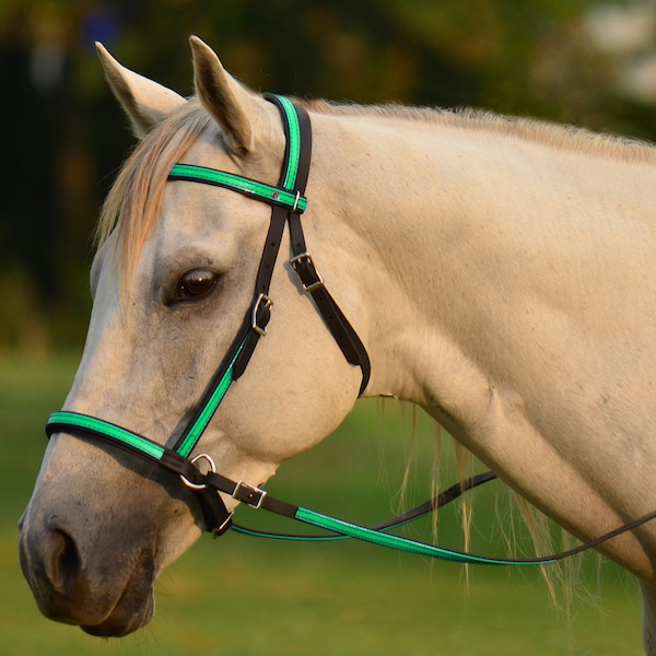 Cob Size**BITLESS BRIDLE & REINS** 2-in-1 Style, Two-Color Beta