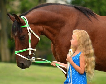 Mini Horse Size**ENGLISH BRIDLE & REINS, Two Color Beta Biothane