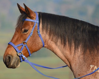 Horse Size** BITLESS BRIDLE & REINS Beta Biothane Sidepull