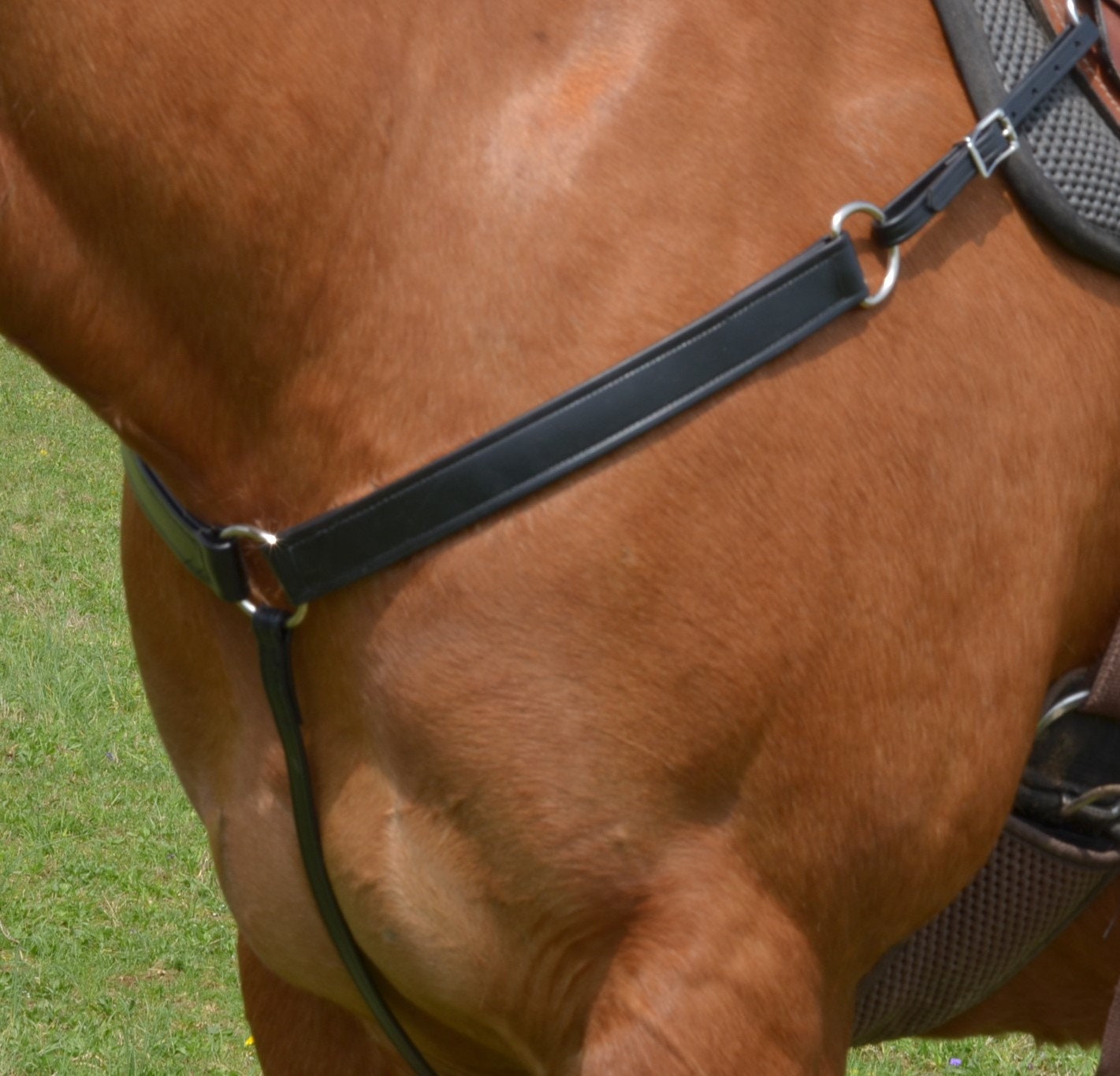 Horse size READY MADE Black 1.5