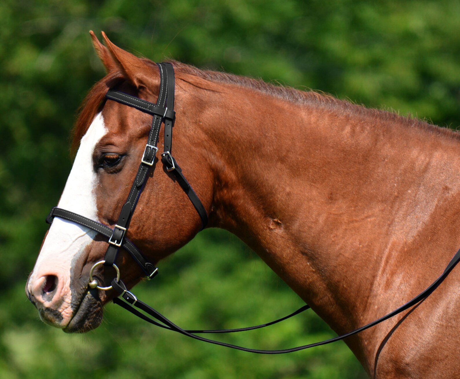 Draft Horse SizeENGLISH BRIDLE & REINS made from Leather Etsy