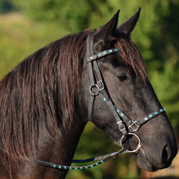 Warmblood Size**HALTER BRIDLE & REINS Quick Change Style made from Beta Biothane with bling
