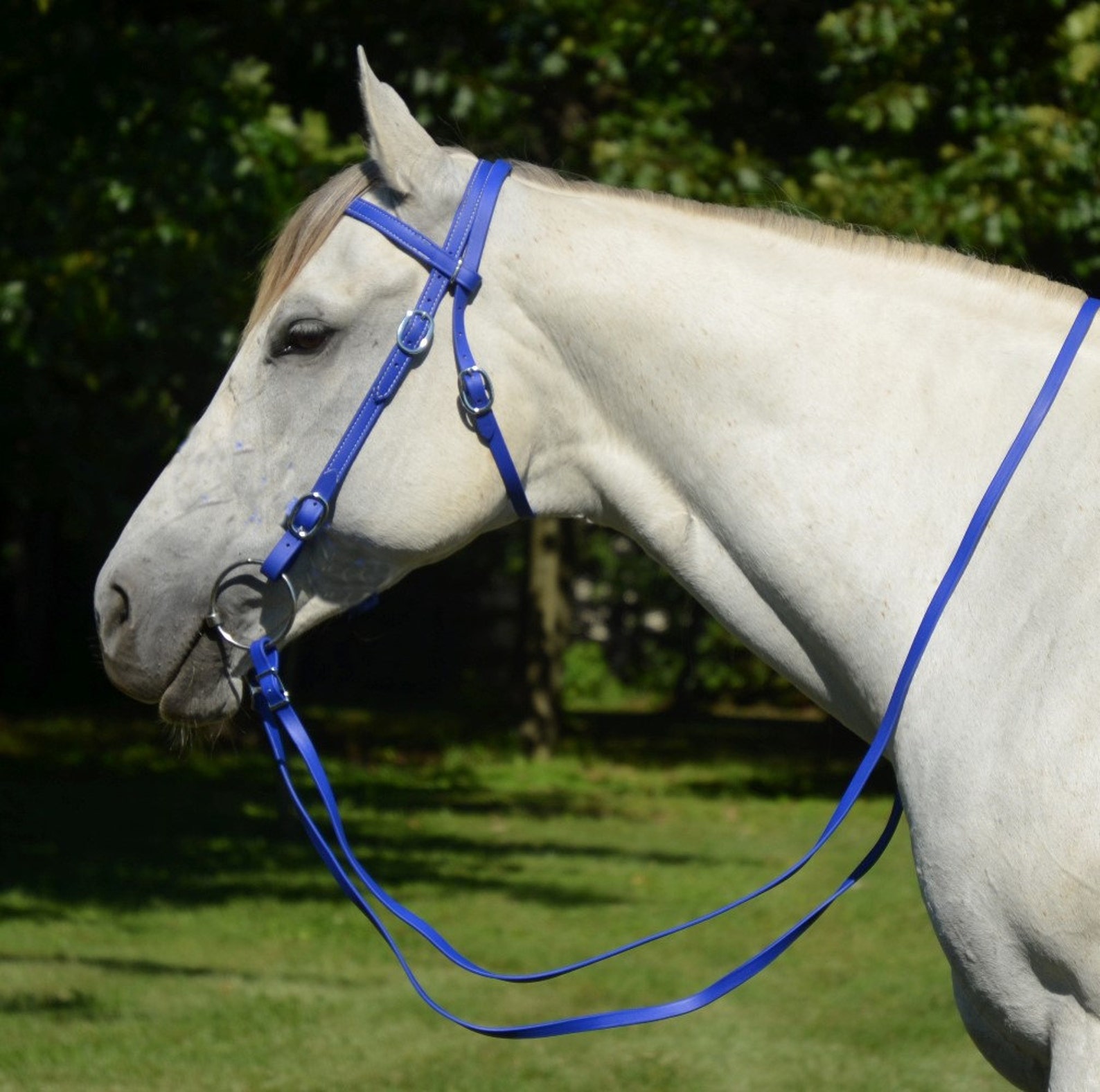 WESTERN BRIDLE & REINS made from Beta Biothane Solid Colored Etsy