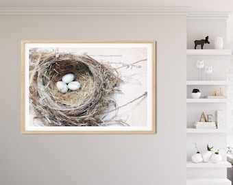 Bird's Nest with Eggs - Farmhouse Wall Décor, Neutral Colors,  Nature Prints & Canvas Artwork